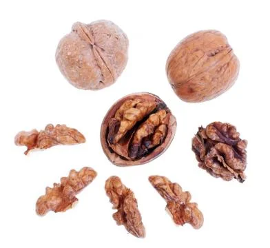 Walnuts isolated on white background Stock Photos