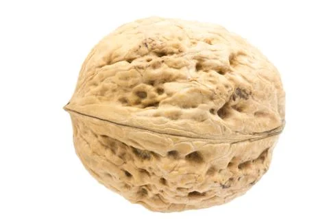 Walnuts isolated on white background. Foto stock