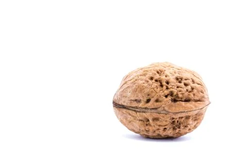 Walnuts isolated on white background. Stock Photos