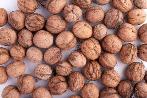 Walnuts isolated on white background Stock Photos