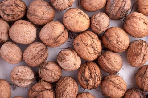 Walnuts isolated on white background Stock Photos
