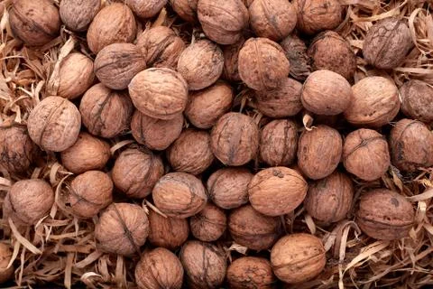 Walnuts isolated on white background Stock Photos