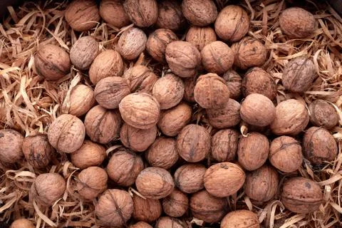 Walnuts isolated on white background Stock Photos
