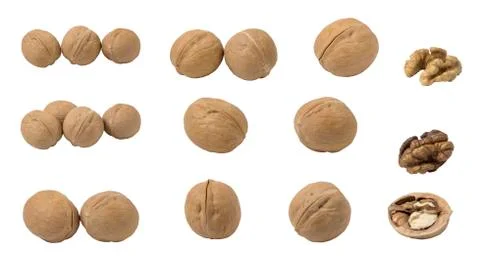 Walnuts isolated on white background. Stock Photos