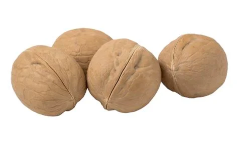 Walnuts isolated on white background. Stock Photos