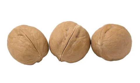 Walnuts isolated on white background. Stock Photos