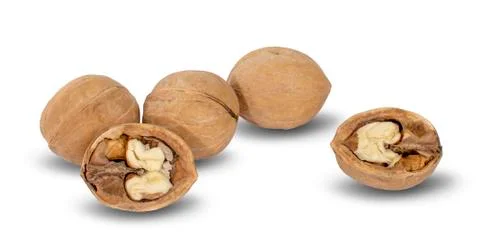 Walnuts an isolated in white background Stock Photos