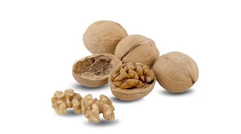 Walnuts isolated in white background Stock Photos