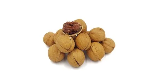 Walnuts on isolated white background Stock Photos