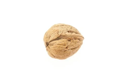 Walnuts isolated on white 스톡 사진