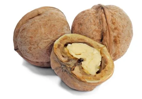 Walnuts isolated on white Stock Photos