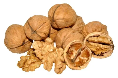 Walnuts Isolated On White Stock Photos