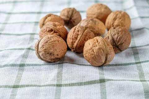 Walnuts isolated on a white towel.Space for text Stock Photos