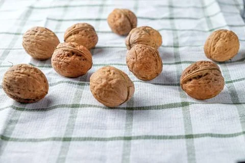 Walnuts isolated on a white towel.Space for text Stock Photos