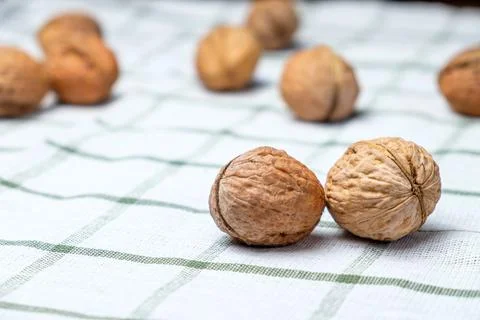Walnuts isolated on a white towel.Space for text Stock Photos