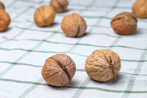 Walnuts isolated on a white towel.Space for text Stock Photos