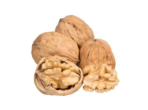 Walnuts with kernel on white. Stock Photos
