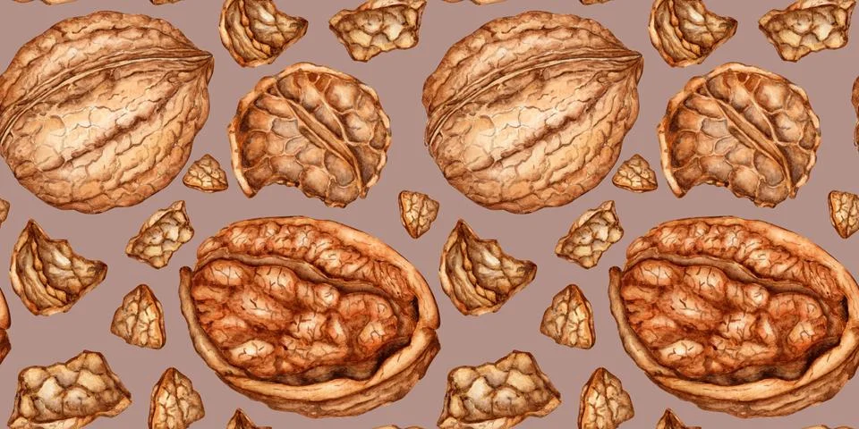 Walnuts kernels and shells on a brown background in watercolor Illustrazione stock