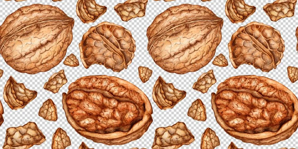 Walnuts kernels and shells pattern watercolor イラスト素材
