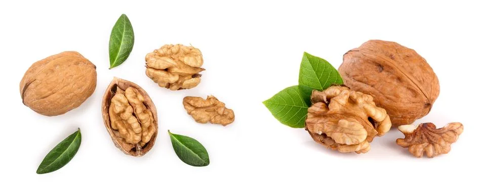 Walnuts with leaf isolated on white background. Top view. Flat lay Stock Photos