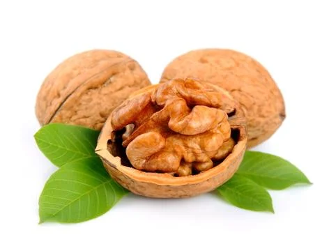Walnuts with leafs Stock Photos