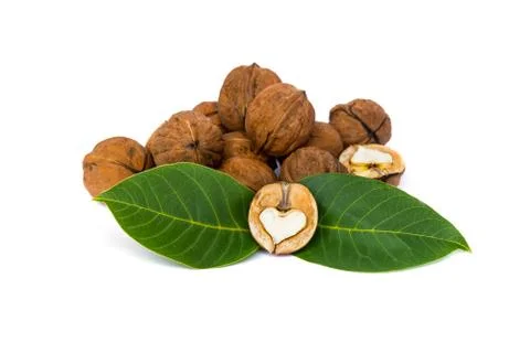 Walnuts with leaves isolated Stock Photos