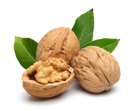 Walnuts with leaves isolated on white Stock-Fotos