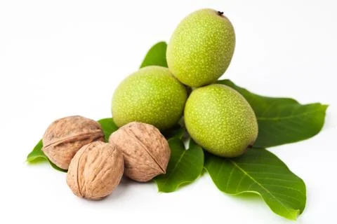 Walnuts with leaves isolated on a white Stock Photos
