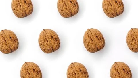 Walnuts lie in rows on white. Top view Stock Photos