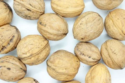 Walnuts located on a white background Stock Photos