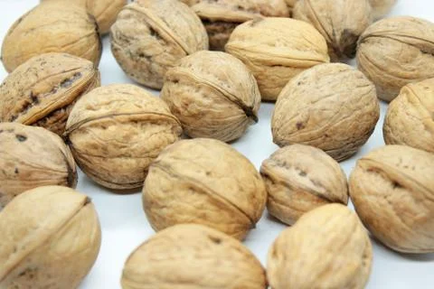 Walnuts located on a white background Stock Photos