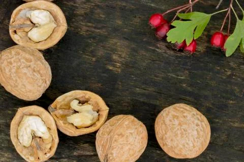 Walnuts. Macro . Nut and red berries. Wooden background Stock Photos