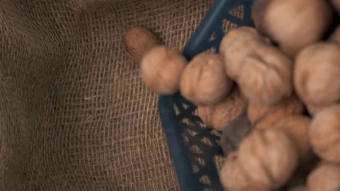 Walnuts mixed with rotten ones are poured into a bag from a blue basket Stock Footage 150173826