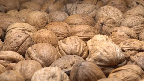 Walnuts in nutshell. Rotation. Closeup. Stock Footage 99369901
