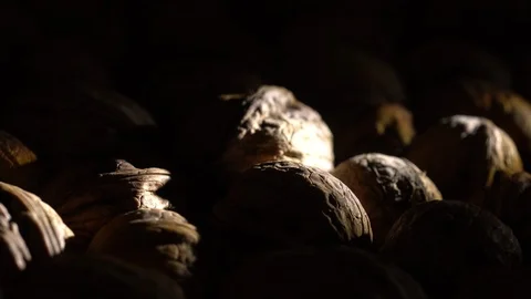 Walnuts in nutshell. Rotation. Closeup. Stock Footage 99372819