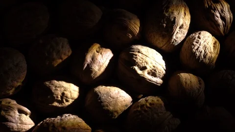 Walnuts in nutshell. Rotation. Closeup. Stock Footage 99373028