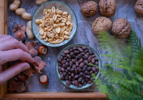 Walnuts, peanuts, hazelnut, pine nuts. Healthy super food Stock Photos