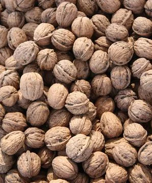 Walnuts Stock Photos