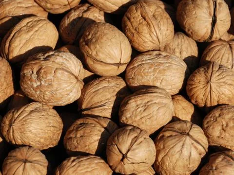 Walnuts Stock Photos