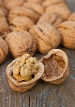 Walnuts Foto stock