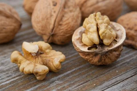 Walnuts Foto stock