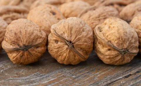Walnuts Stock Photos