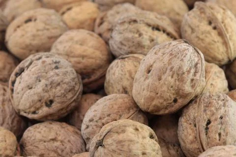 Walnuts Stock Photos