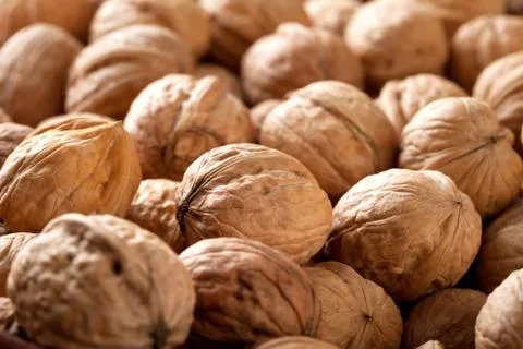 Walnuts Stock Photos
