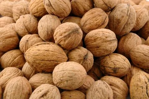 Walnuts Stock Photos