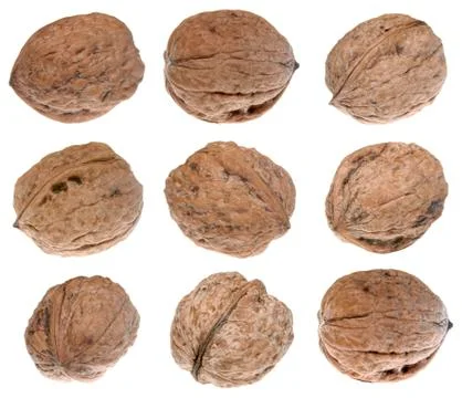 Walnuts Stock Photos