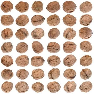 Walnuts Stock Photos