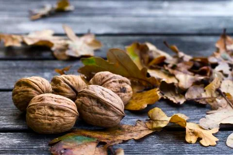 Walnuts Stock Photos