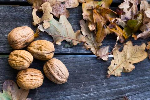 Walnuts Stock Photos