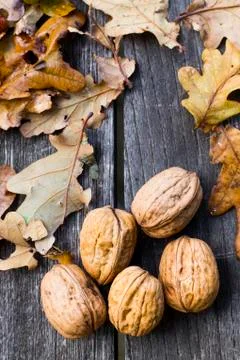 Walnuts Stock Photos